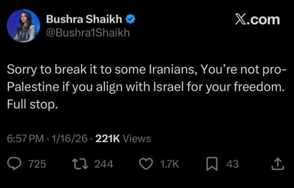 If you actually care about the interests of the Palestinian people:

Free Iran is a pro-Palestinian position.

Peace with Israel is a pro-Palestinian position.

Rejecting tankies, Nazis, and jihadists is a pro-Palestinian position.