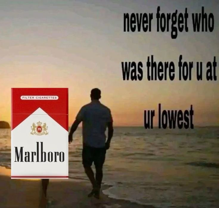 llpipi's tweet image. 