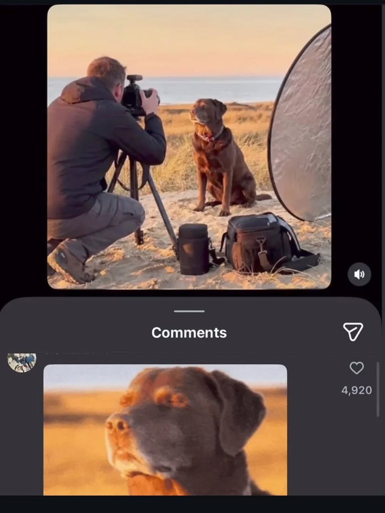 ☔ (@whotfismick) on Twitter photo 