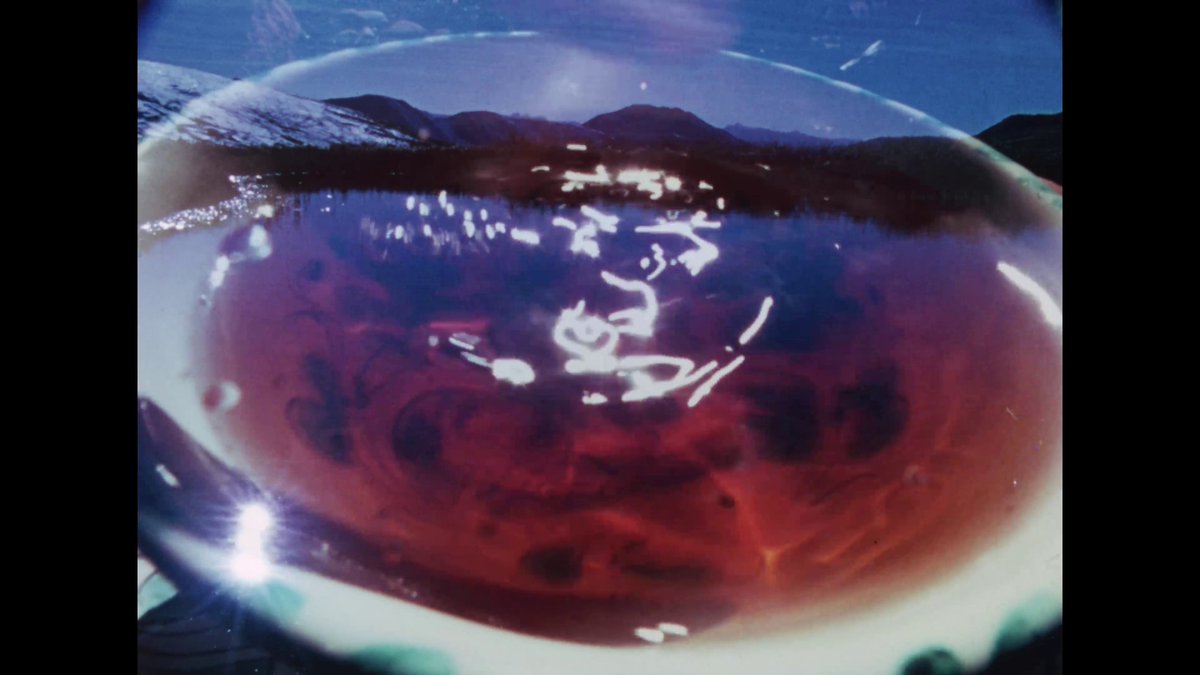 TelevisualWord's tweet image. River Film (1972)

Virtually no one glided a camera or edited a blitz like pilot Robert Fulton. This nature short is a prime example of his switchups between speeds &amp;amp; densities of images, held steady by ASMR-esque audio

Support the astounding restorers at ref3collection vhx tv