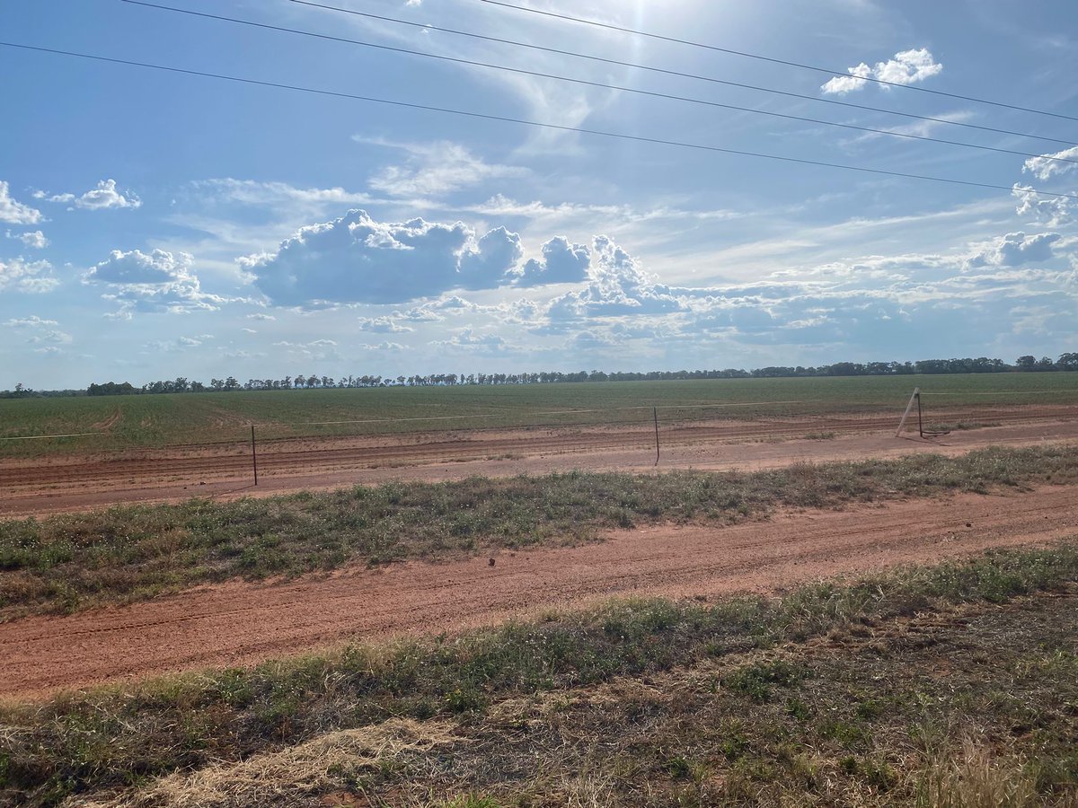 AgNova Technologies tweet media