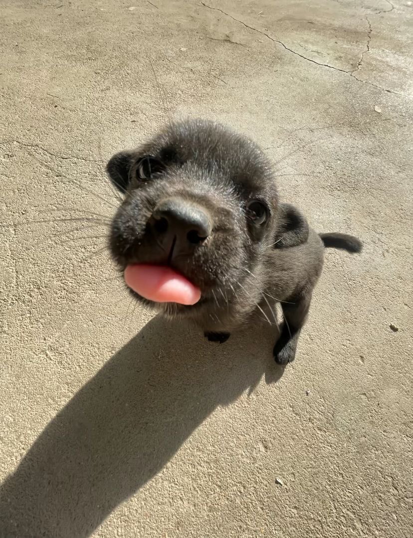 twaniimals's tweet image. 