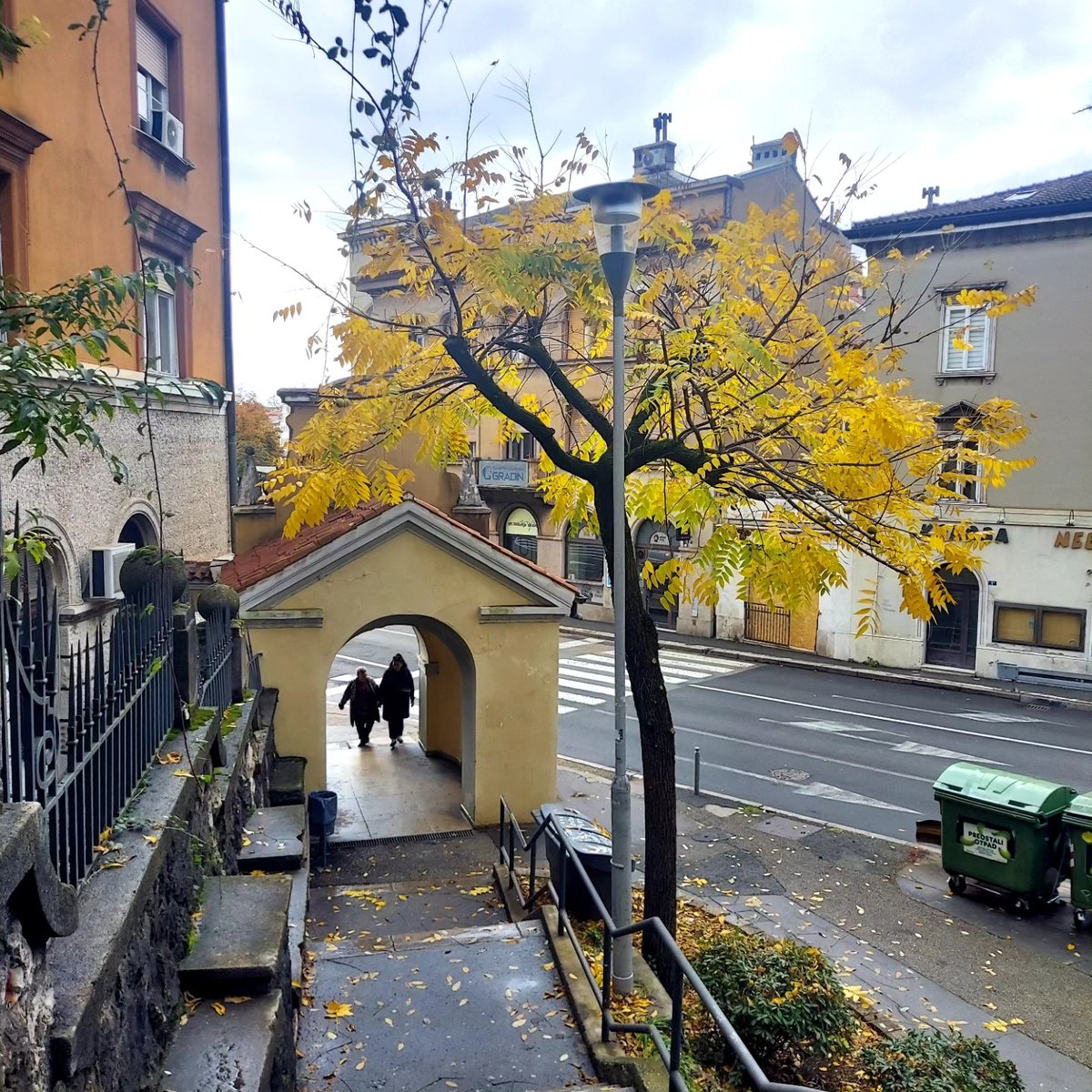 S Trsatskih stuba Petra Kružića, Noriyasu Kunori #zaljev