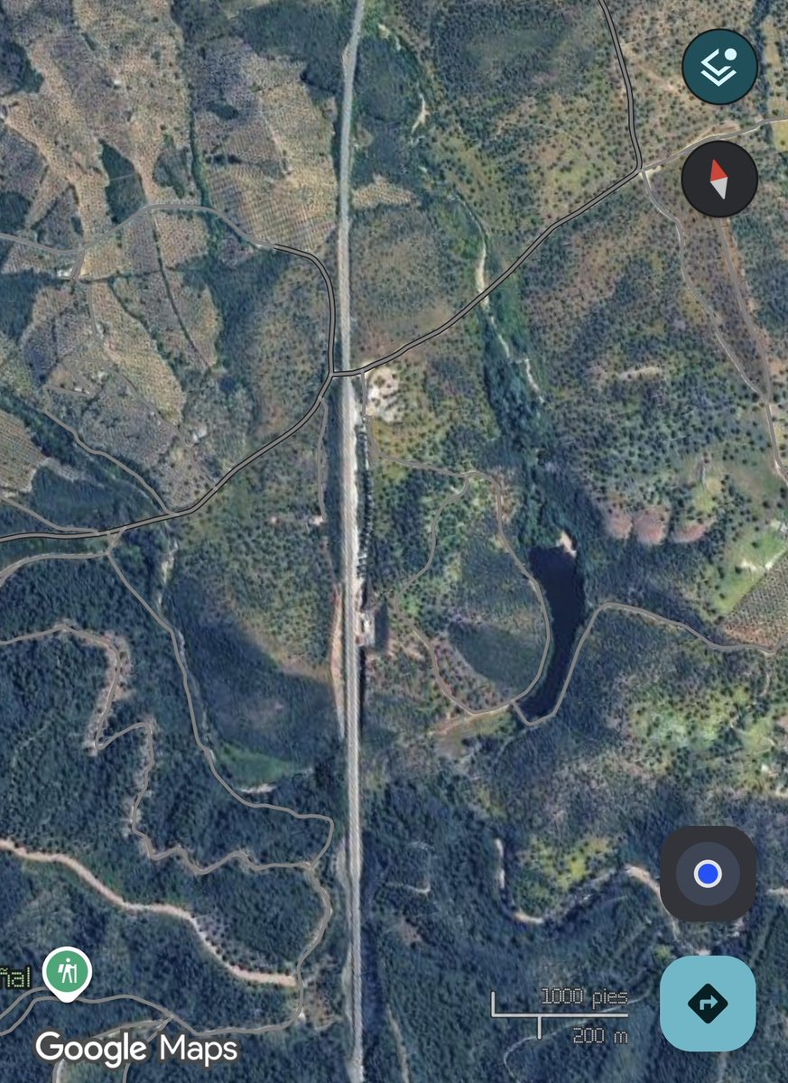 Julius Master N♱N tweet media