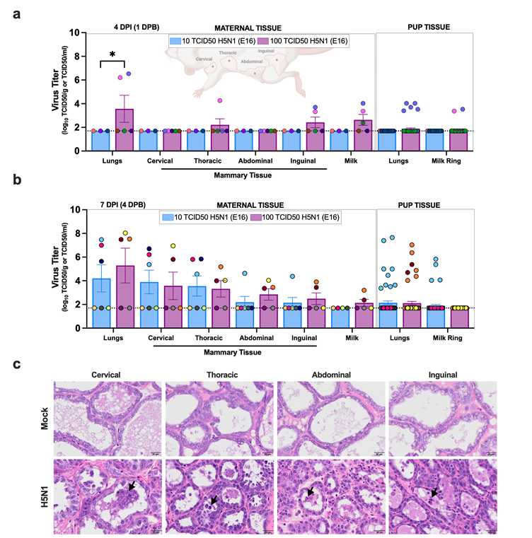 Michelle Wille tweet media