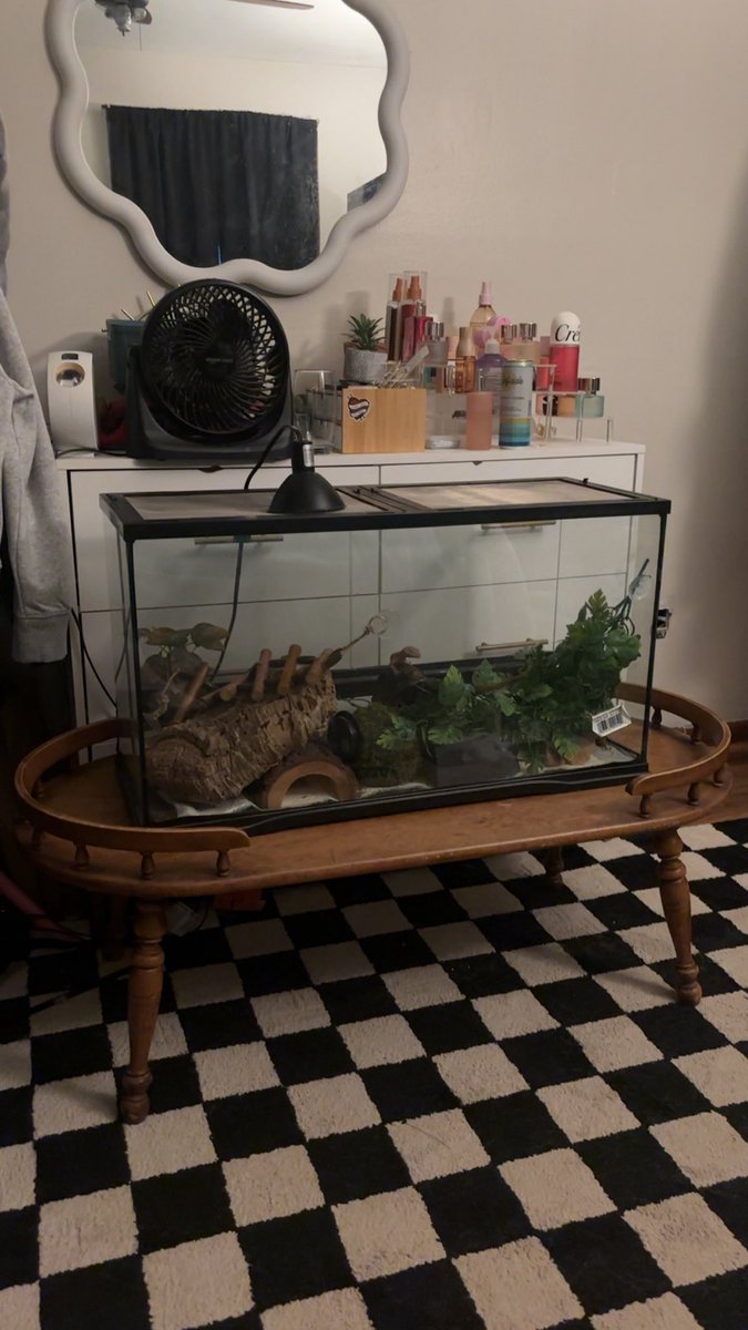 Hello I bought this table for 12 dollars and have no idea what to use it for but I refuse to get rid of it bc she’s stunning so pls give me ideas