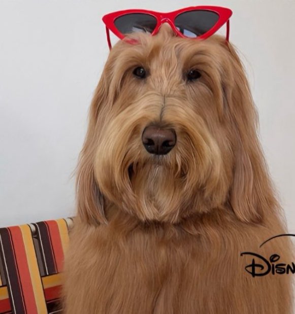 teniendo un crashout por un hombre que luce ASI