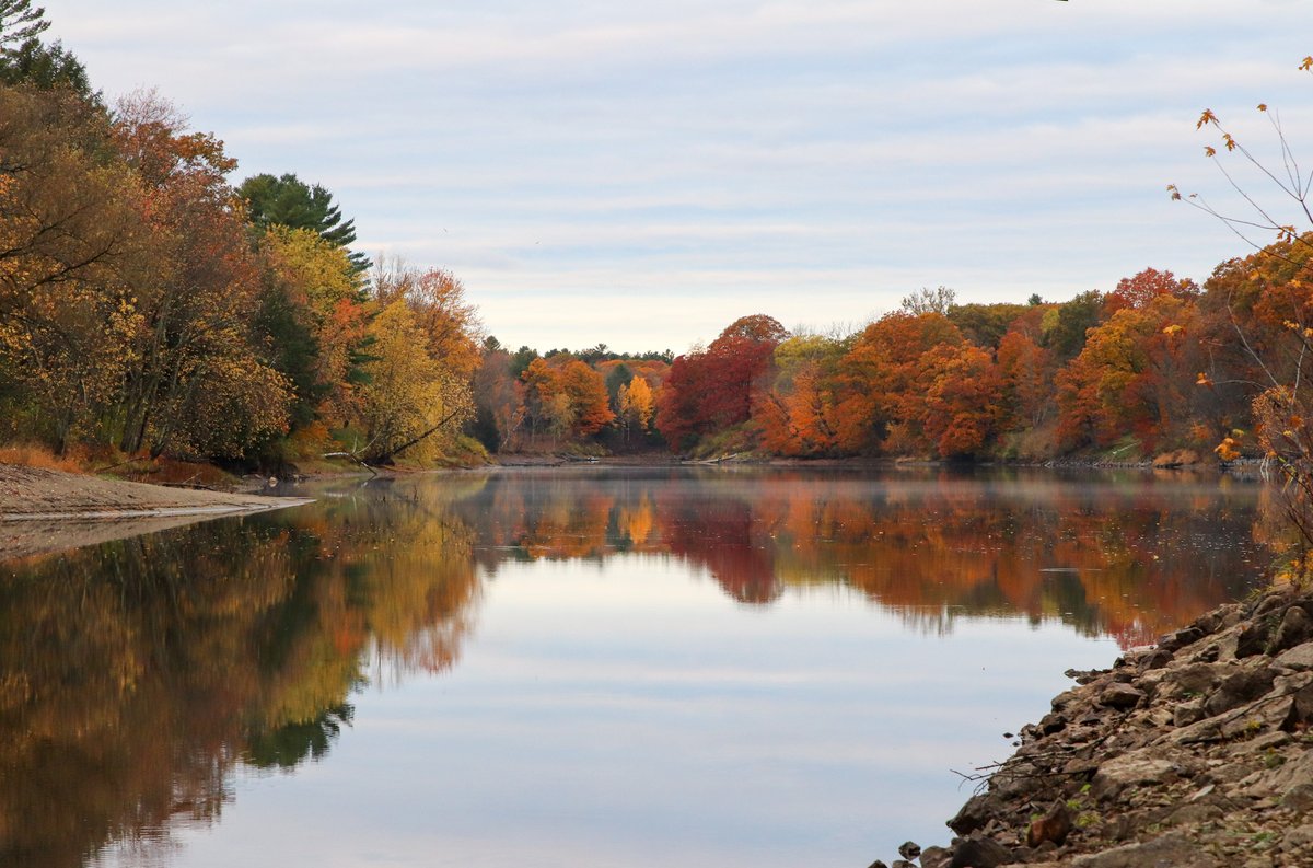 Top Row Pics tweet media