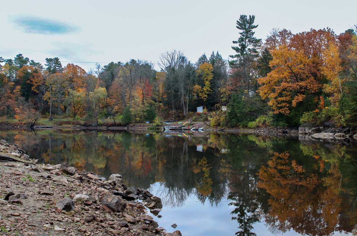 Top Row Pics tweet media