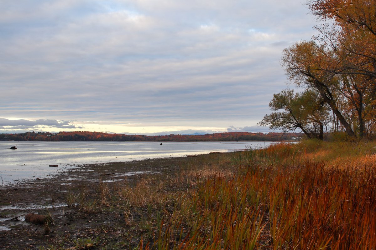 Top Row Pics tweet media