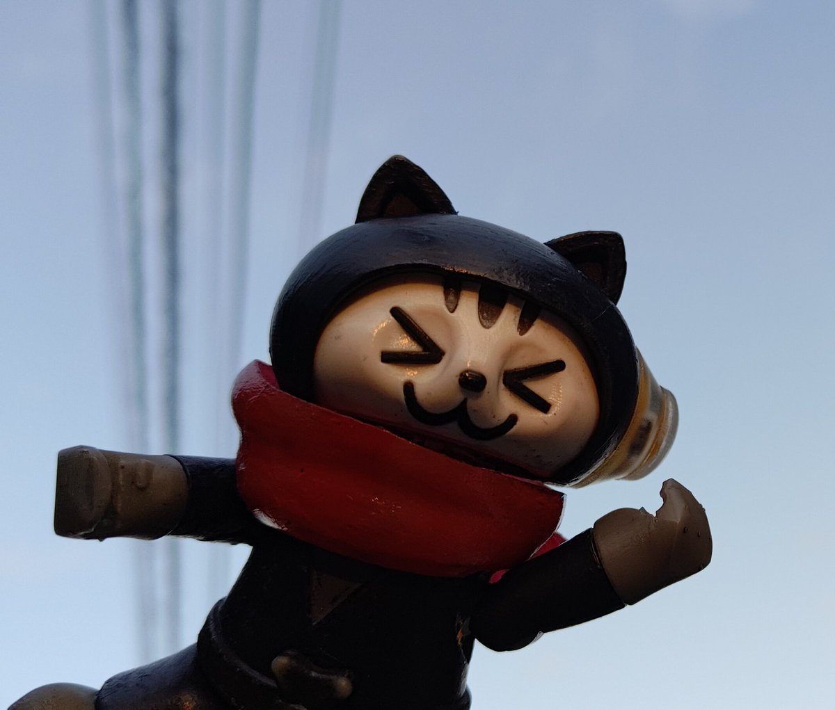 おはようにゃん😺 1月19日、週の始まり月曜日、晴れにゃ☀️21日から