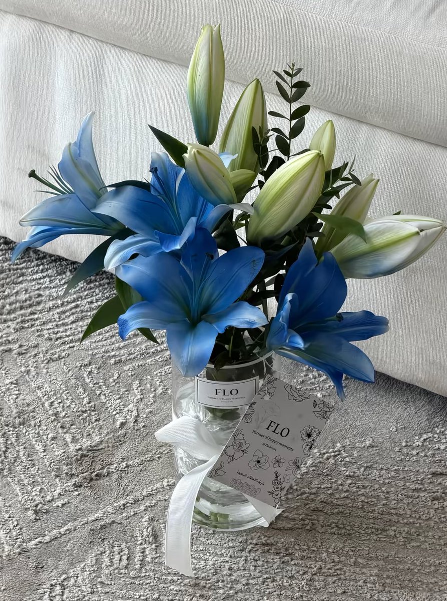 1leio's tweet image. 