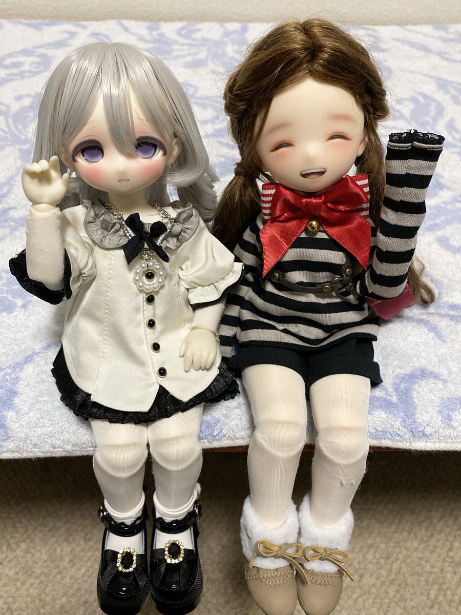 まめじ工房 (@mamejistudio) / Posts / X