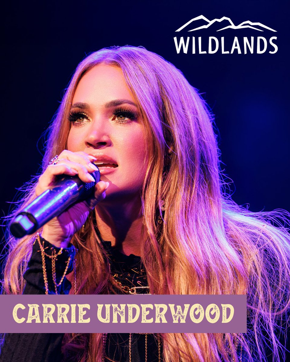 Carrie Underwood tweet media