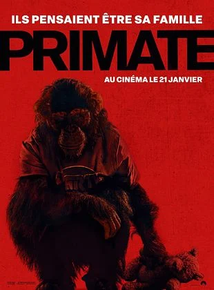 PPatchwork's tweet image. Les sorties cinéma du 21 Janvier, en 4 choix :

#Hamnet de Chloé Zhao
#Primate de Johannes Roberts
#GrandCiel de Akihiro Hata
#LeMageDuKremlin de Olivier Assayas
