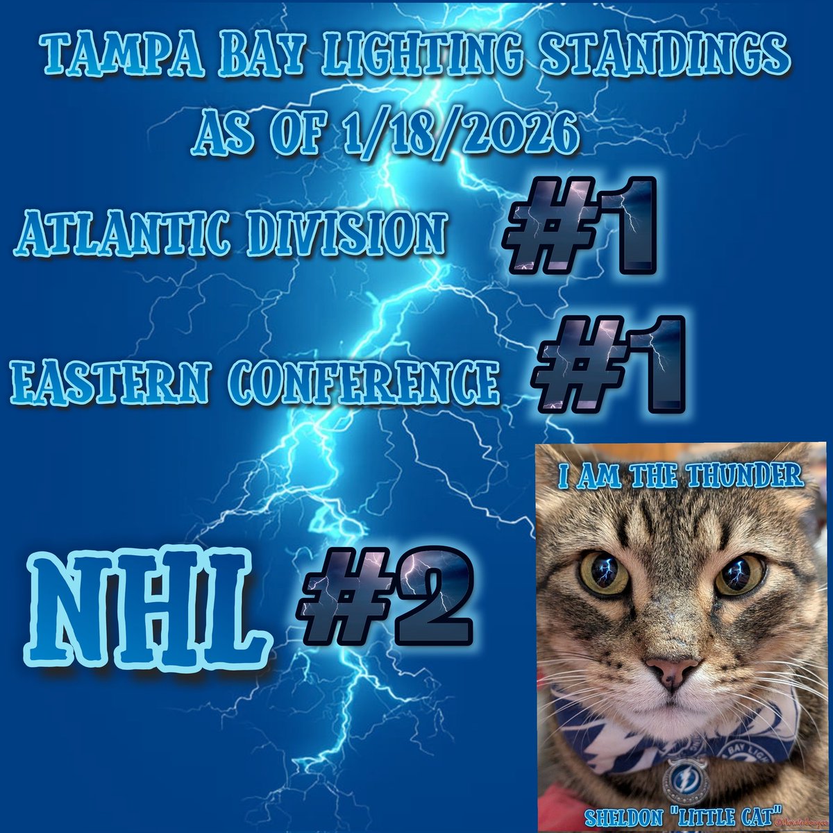 TheRainbowZee's tweet photo. WE ARE THE THUNDER! #GoBolts 
#Sheldonlittlecat #vasybigcat https://t.co/QdzkuyDOLM