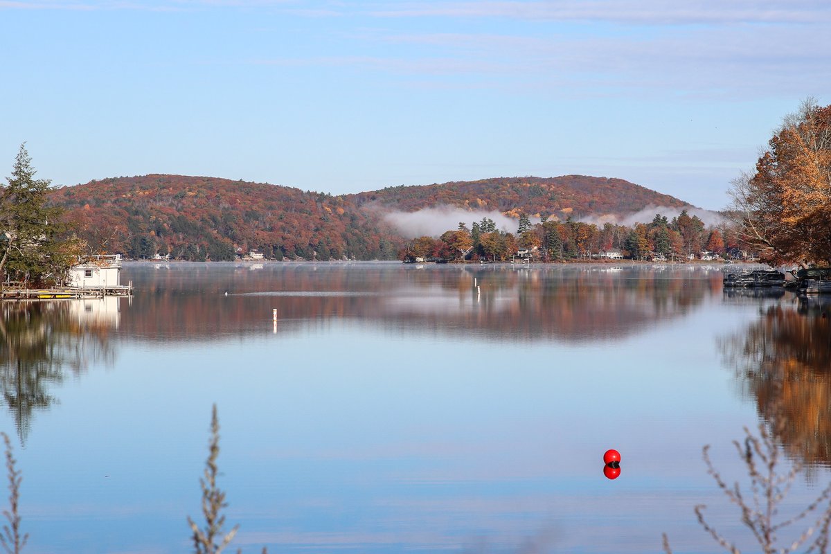 Top Row Pics tweet media