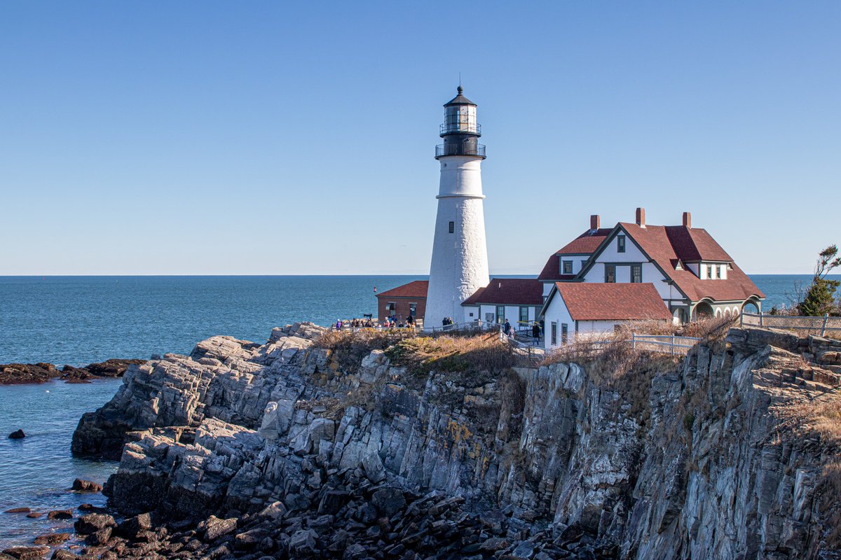 Top Row Pics tweet media