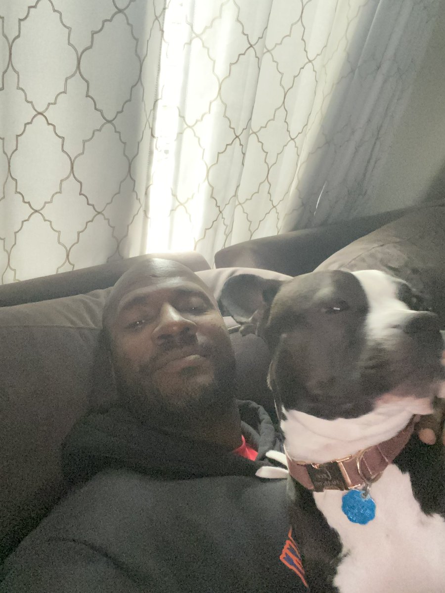 ZeekArkham's tweet image. Yep, my dog is way more important to me than any illegal.

Glad we cleared that up.