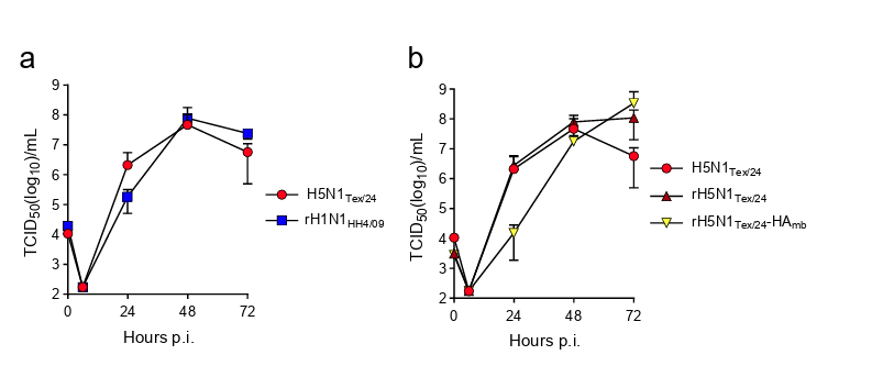 Michelle Wille tweet media