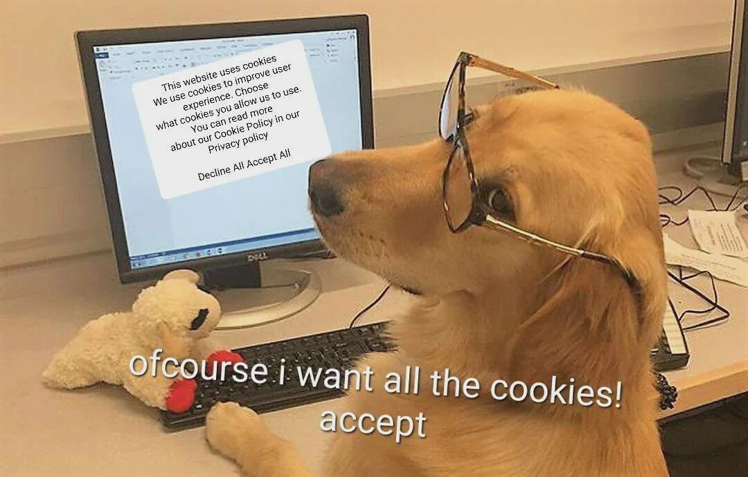 WholesomeMemes (@wholesomememe) on Twitter photo 