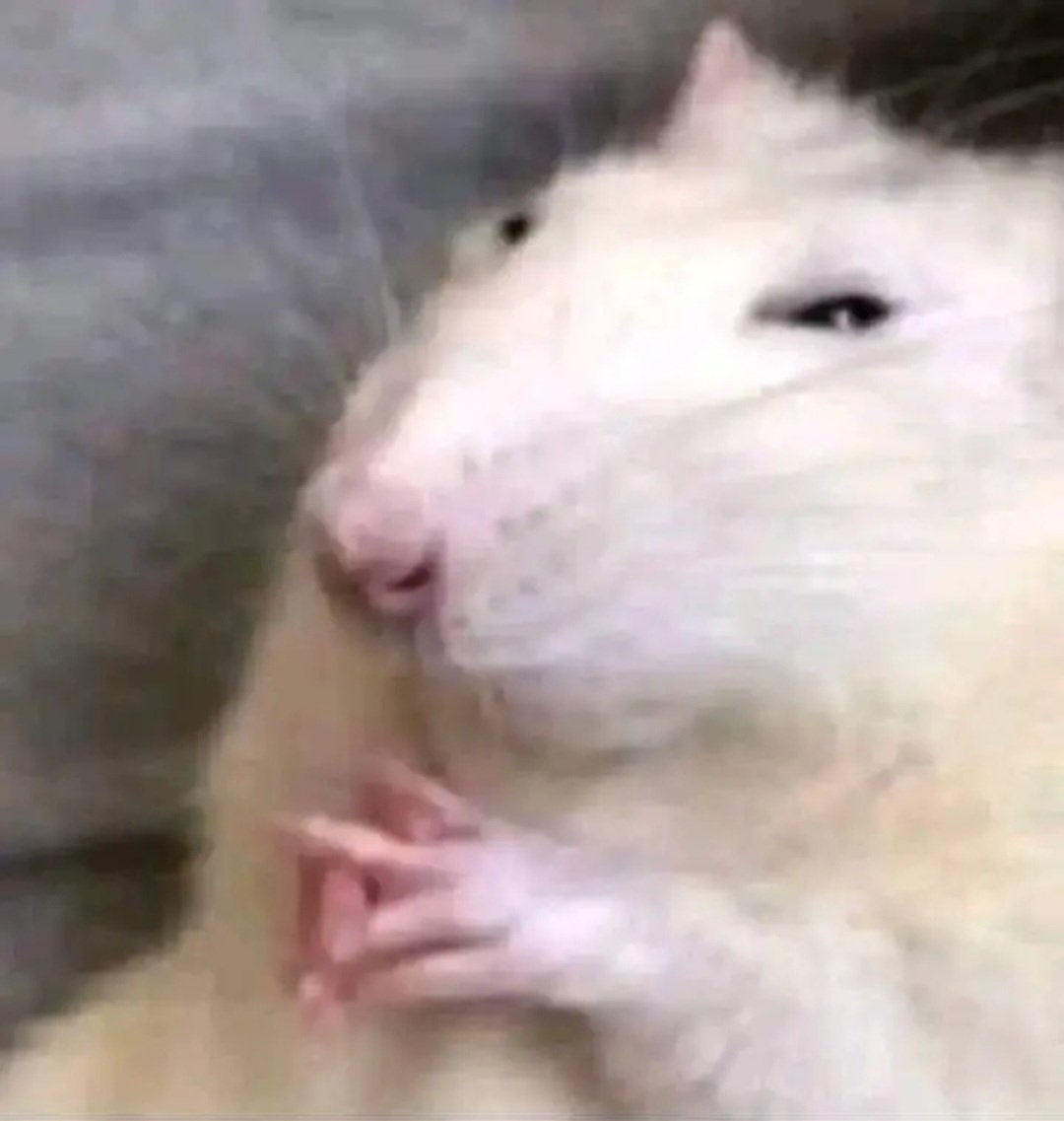 Live right now <a href="/WeareKrypticGG/">Kryptic</a> <a href="/Olympuslou/">Olympus Gaming Lounge</a>
twitch.tv/sylentts?sr=a