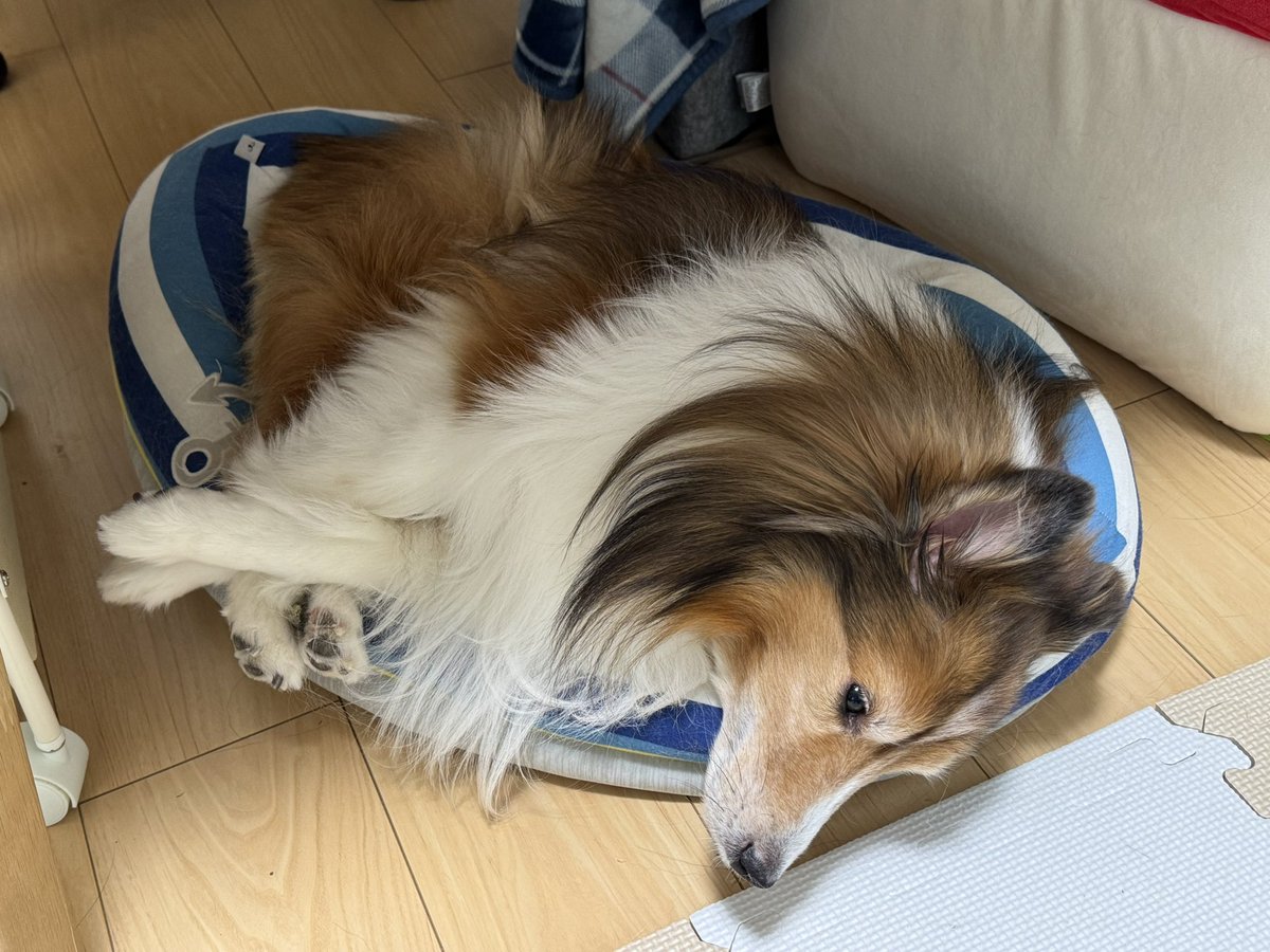 手足絡まりーぬ