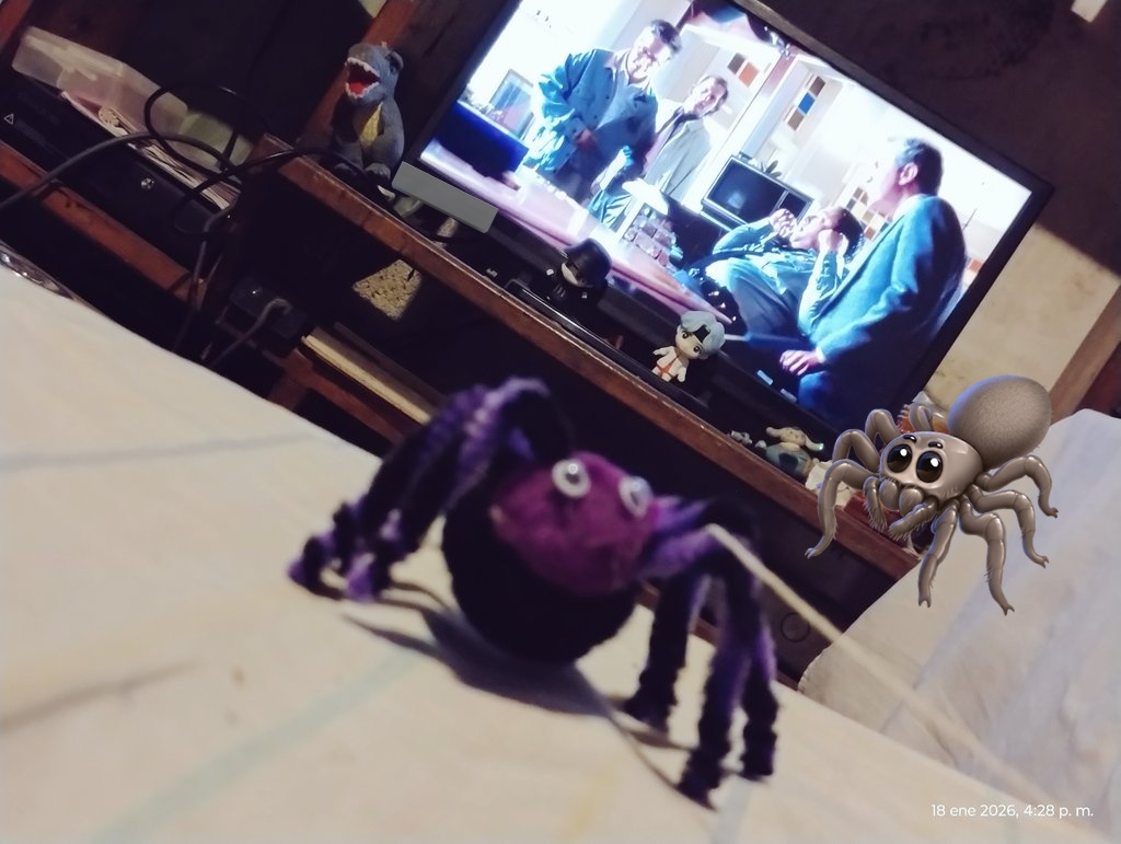 MinMaria_93's tweet photo. #ElFinSeAcerca viendo las arañas, si dan miedo. 🕷️😵‍💫 https://t.co/c3kyPKgmJF