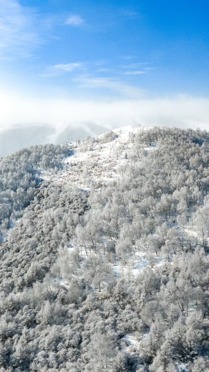 Amazing Hebei tweet media