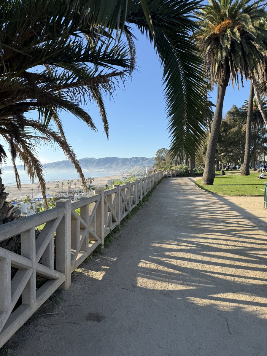 Nabeel S. Qureshi tweet media