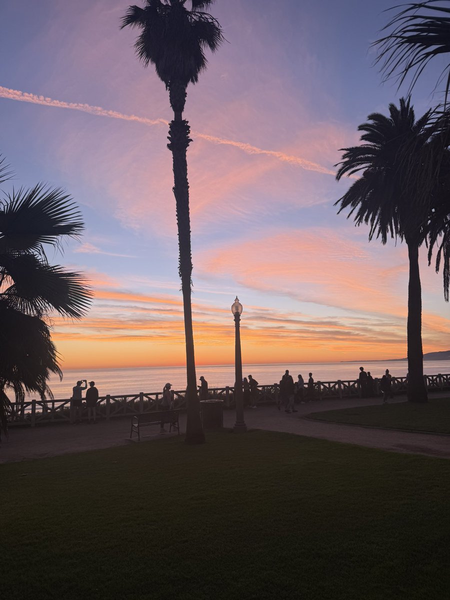 Nabeel S. Qureshi tweet media