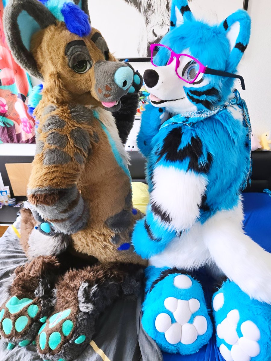 Vuk🔜NFC tweet media