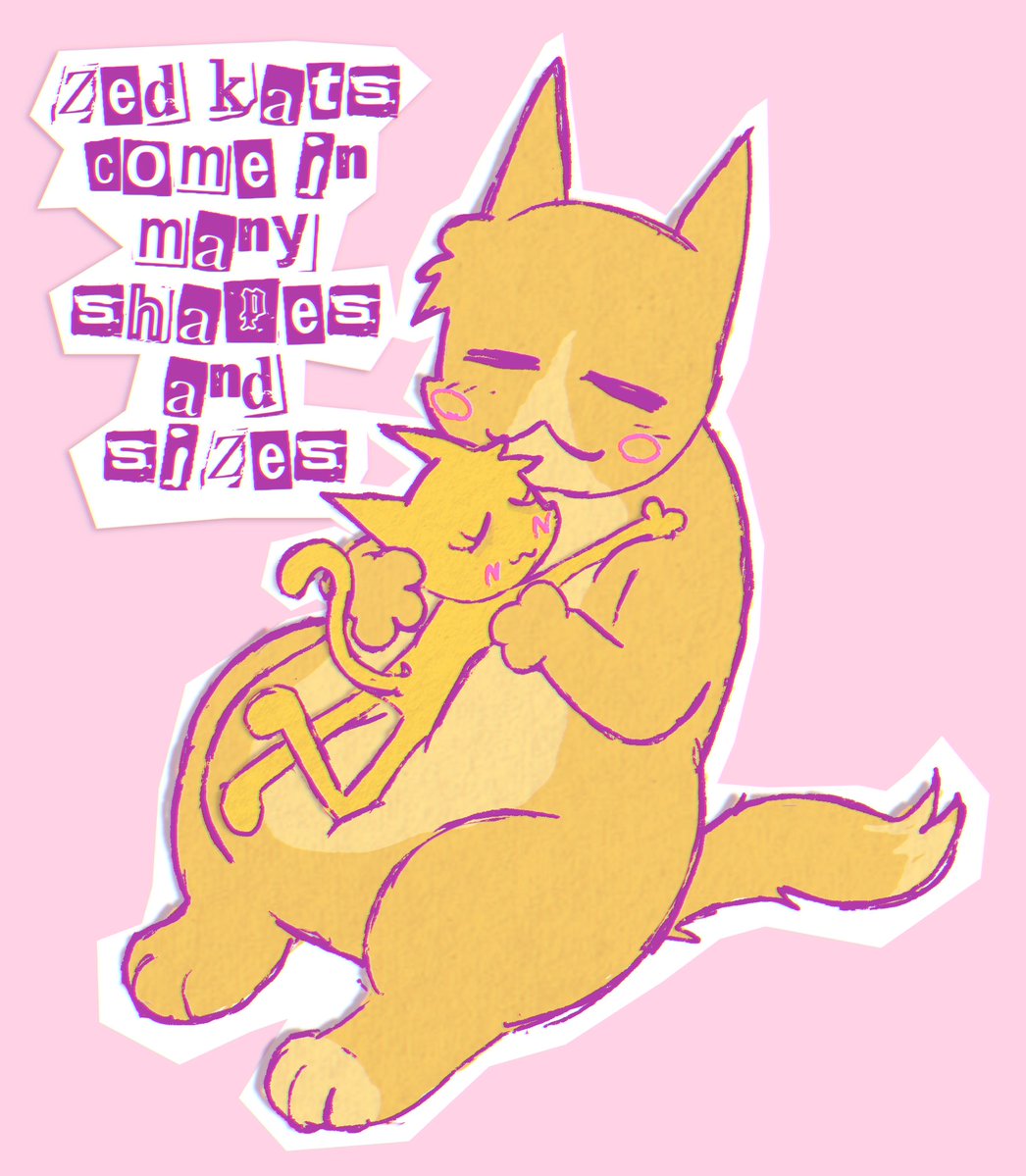 shelley_zedkat's tweet image. zedkats come in many shapes and sizes