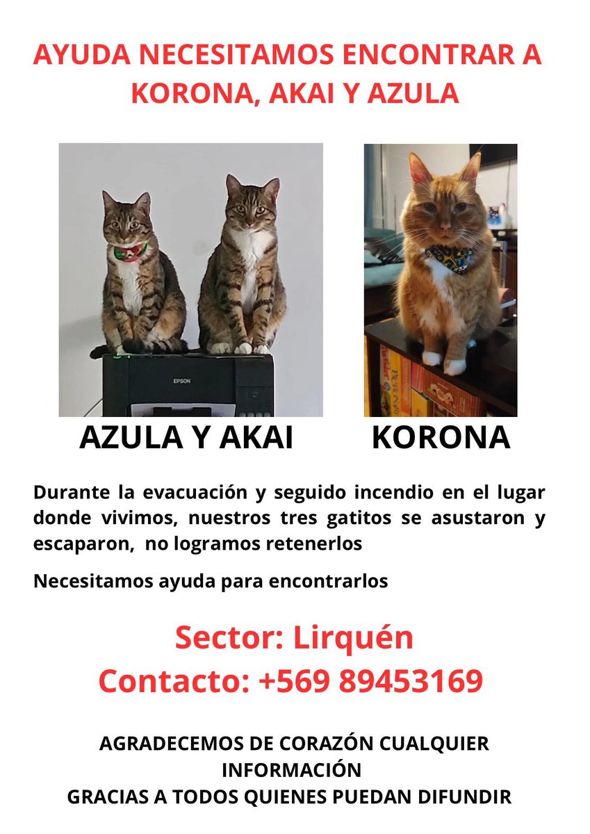 victsep's tweet image. Difundir por favor 🙏🏼 
#Lirquén #IncendioForestal #incendios #Concepción #Penco