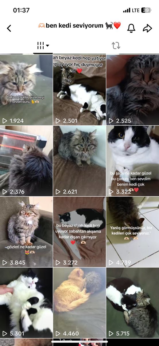 takiple patilere umut ol tweet media