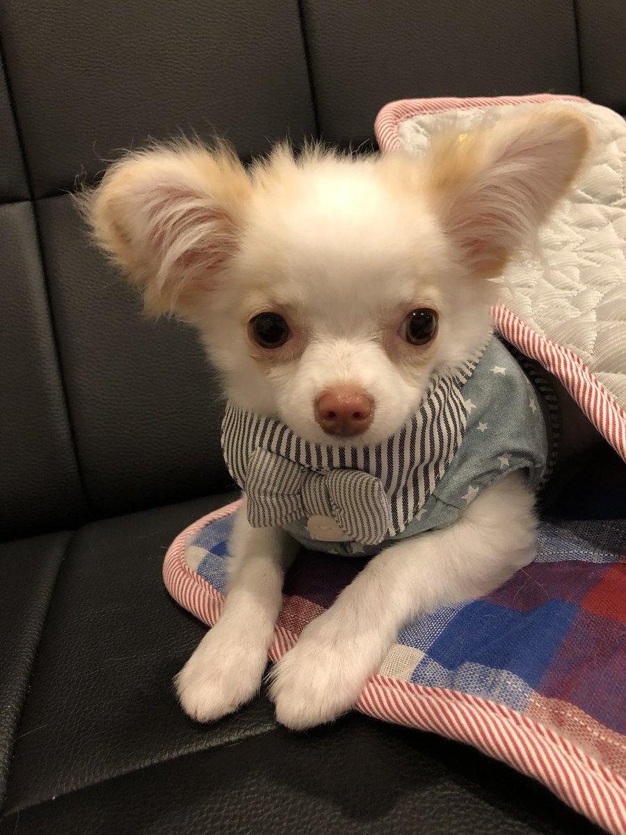 まなみん (@elmn118) / Posts / X