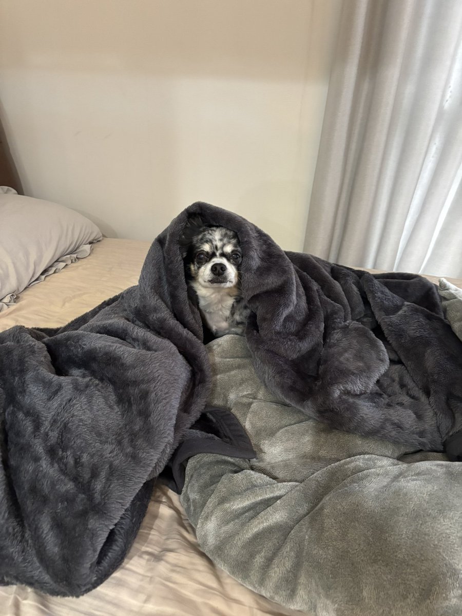 まなみん (@elmn118) / Posts / X