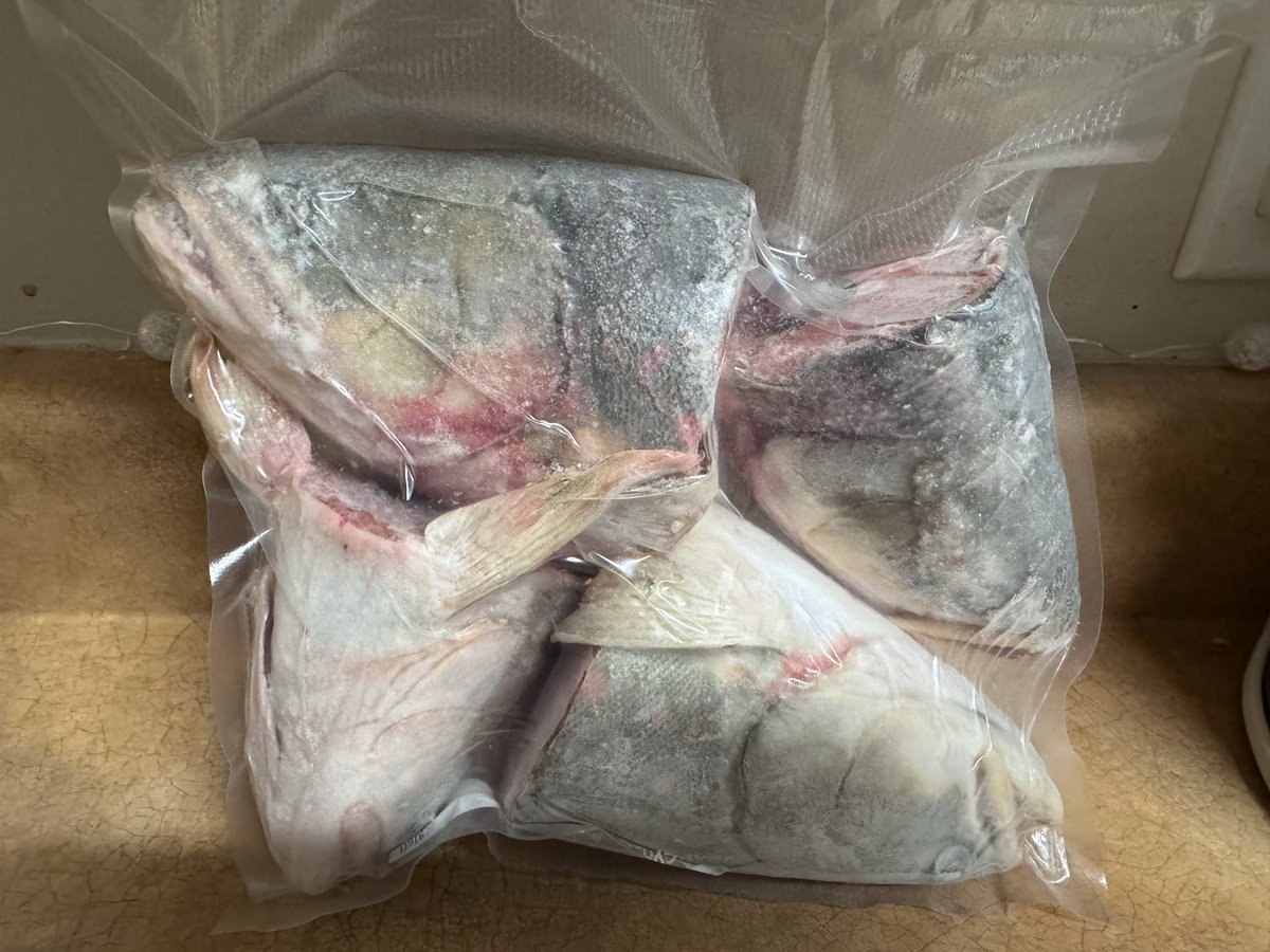 Thankful for my son in-law, he is a hunter, last week him and his friend went way down the island, for net fishing.  They also got caught in Blizzard down over there, glad they were all fine and made safely home next day #ArcticChar saving the fish heads for my friend 😁