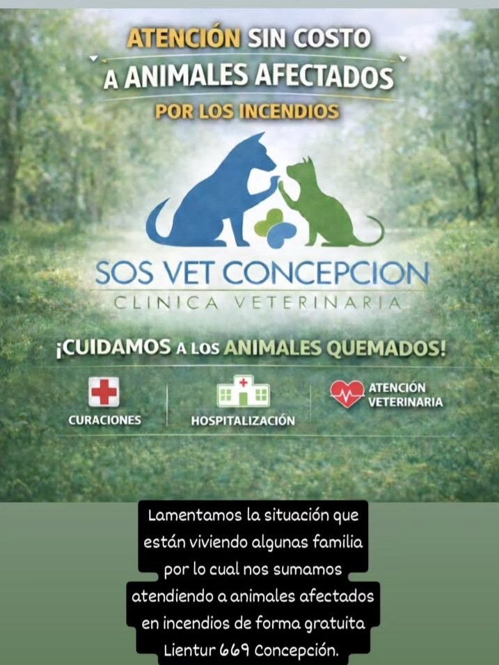 Difundir 🚨📢🙏
#IncendiosForestales 
#ChileBajoAtaqueTerrorista 
#incendio 
#Chile