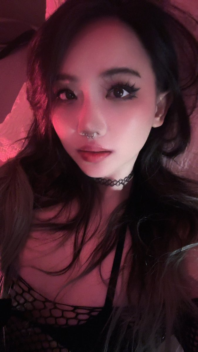 🍖 Harriet Sugarcookie 🍖 tweet media