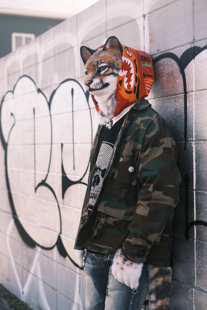 🐅x🐆

#創造トリアノン　#FursuitEveryday