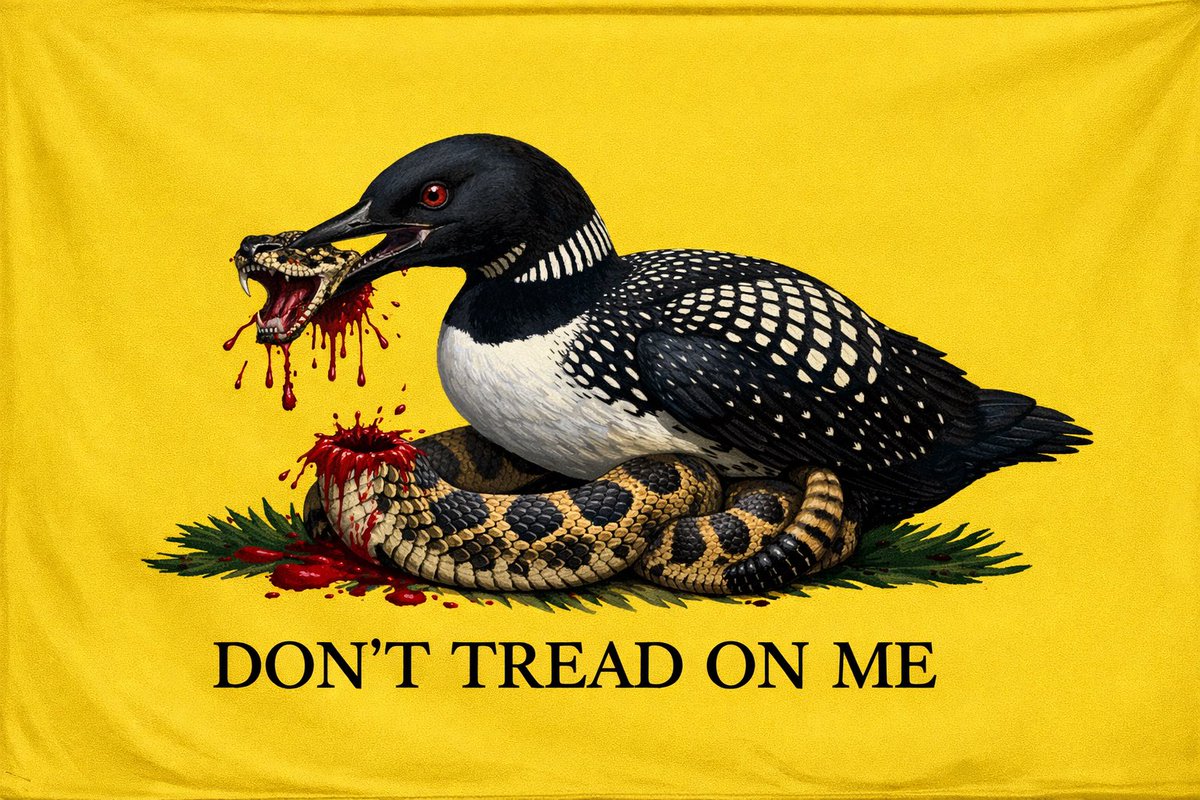 Guru_Merc's tweet image. 