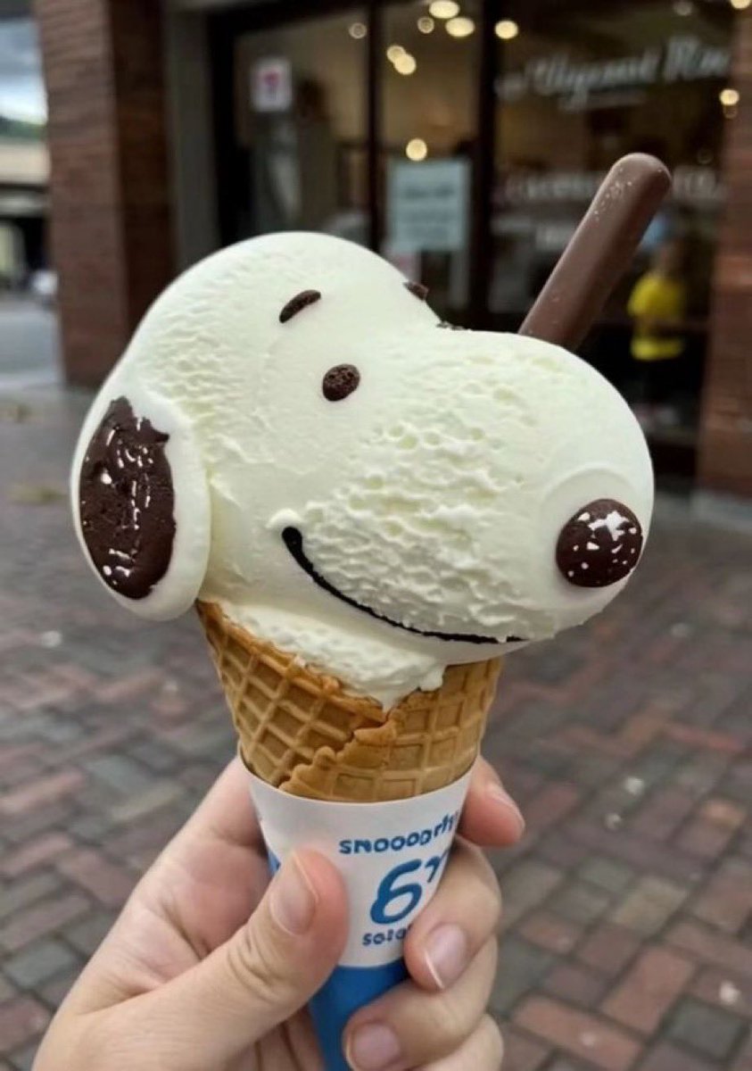 snoopy lover (@snoopyfever_) on Twitter photo 