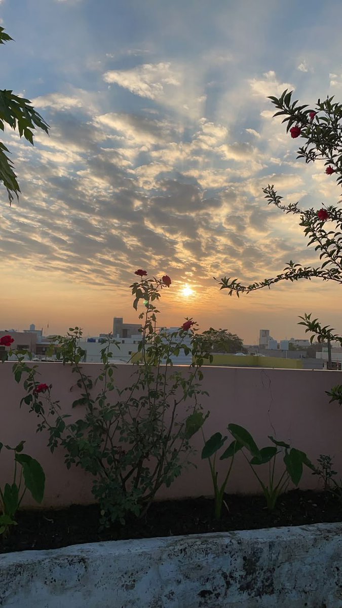 Believe in yourself and all that you are. Know that there is something inside you that is greater than any obstacle."

Good morning🌹