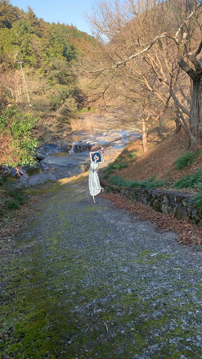 ちゅんちゅん丸❤️🧡❤️🧡 (@tsutomu32026) / Posts / X