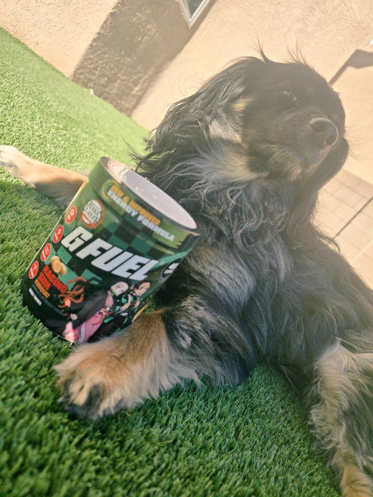 SL1K_Chaos's tweet image. Don't Let The Sun Rage At You 🔥

As @GFuelEnergy New Collaboration With Demon Slayer Raging Sun Arrives 🌞 

With The Flavor Kick Of Kumquat You Can Become The Next Hashira Of The Demon Slayer Core 😎

Even Milo Is Training To Become The Next Hashira 🔥

Code SL1K To Save You…