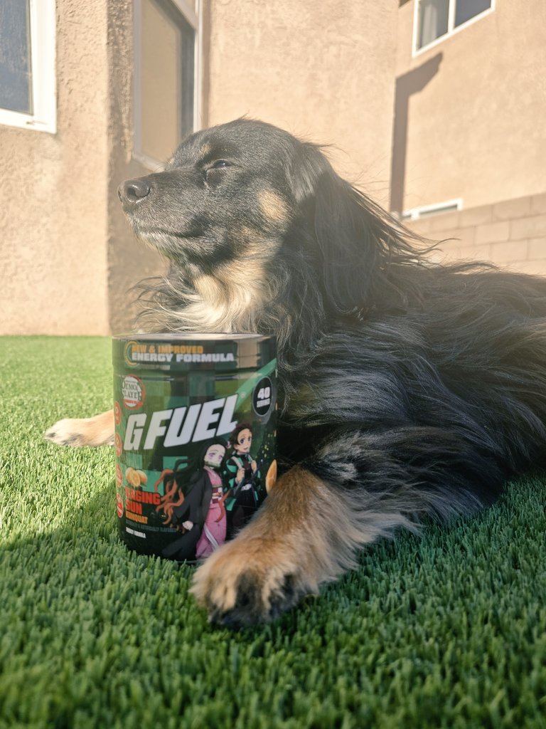 SL1K_Chaos's tweet image. Don't Let The Sun Rage At You 🔥

As @GFuelEnergy New Collaboration With Demon Slayer Raging Sun Arrives 🌞 

With The Flavor Kick Of Kumquat You Can Become The Next Hashira Of The Demon Slayer Core 😎

Even Milo Is Training To Become The Next Hashira 🔥

Code SL1K To Save You…