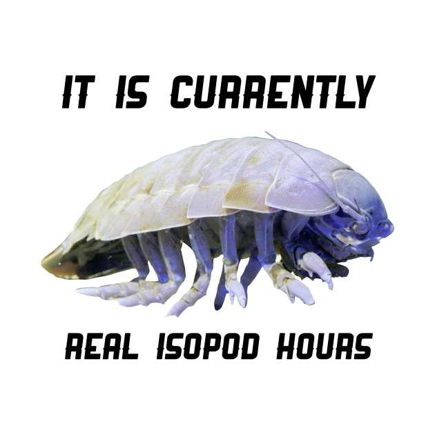 BasedIsopod's tweet image. 