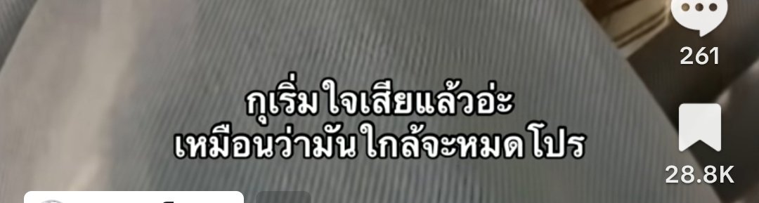 🦮 (@omevnq) on Twitter photo 