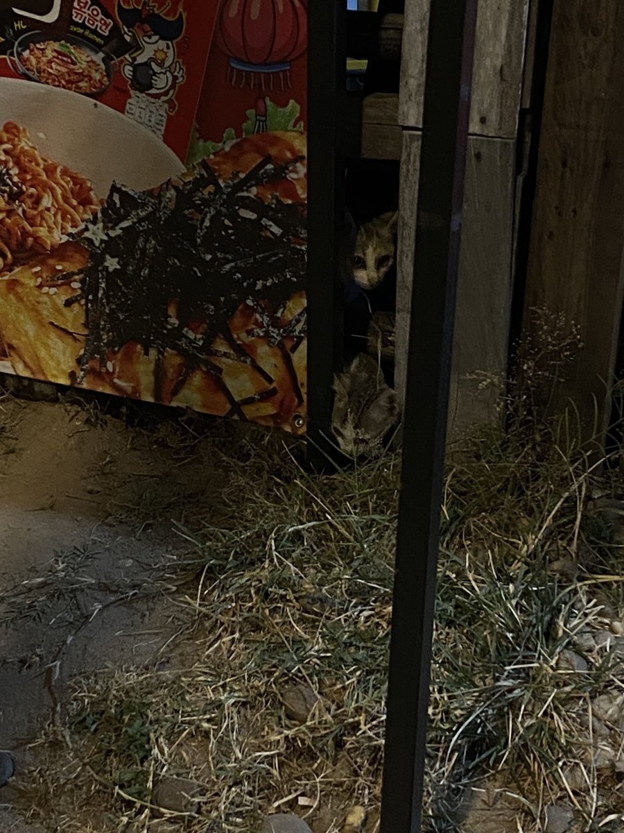 ๙ (@_bsxasq) on Twitter photo 